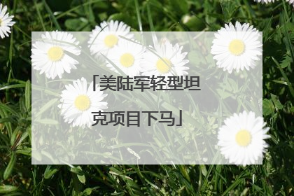 美陆军轻型坦克项目下马
