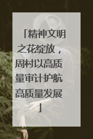 精神文明之花绽放，周村以高质量审计护航高质量发展