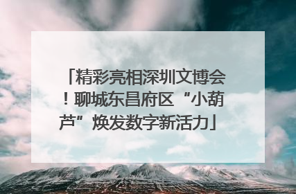 精彩亮相深圳文博会！聊城东昌府区“小葫芦”焕发数字新活力