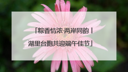 粽香情浓·两岸同韵丨湖里台胞共迎端午佳节