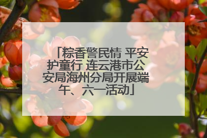 粽香警民情 平安护童行 连云港市公安局海州分局开展端午、六一活动