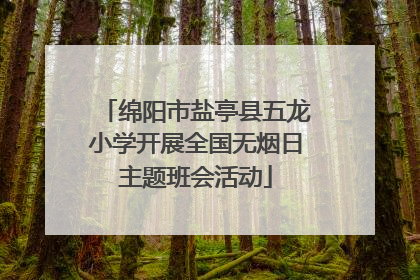 绵阳市盐亭县五龙小学开展全国无烟日主题班会活动
