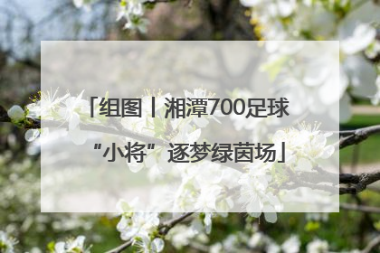 组图丨湘潭700足球“小将”逐梦绿茵场
