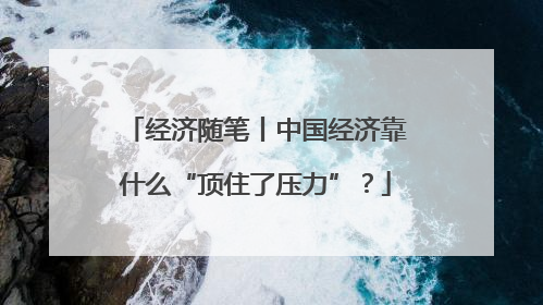 经济随笔丨中国经济靠什么“顶住了压力”？
