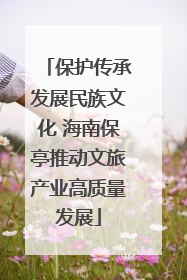 保护传承发展民族文化 海南保亭推动文旅产业高质量发展