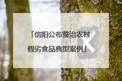 信阳公布整治农村假劣食品典型案例