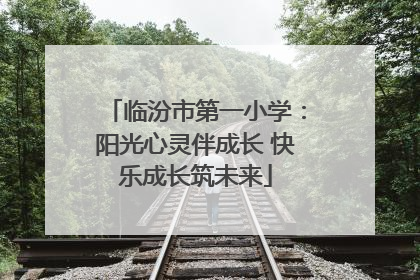临汾市第一小学：阳光心灵伴成长 快乐成长筑未来