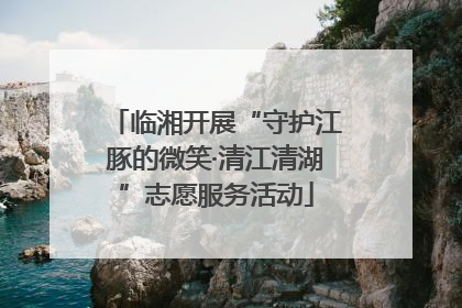 临湘开展“守护江豚的微笑·清江清湖”志愿服务活动
