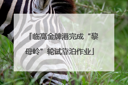 临高金牌港完成“黎母岭”轮试靠泊作业