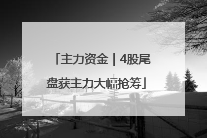 主力资金｜4股尾盘获主力大幅抢筹