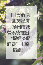 主动作为，服务经济，扬州市城管系统推出“提经济促消费”十项措施