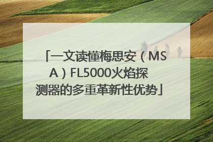一文读懂梅思安（MSA）FL5000火焰探测器的多重革新性优势