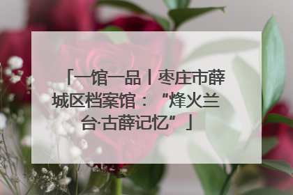 一馆一品丨枣庄市薛城区档案馆：“烽火兰台·古薛记忆”