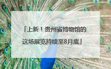 上新！贵州省博物馆的这场展览持续至8月底