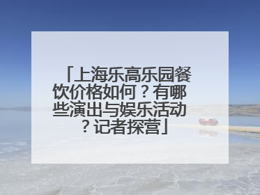 上海乐高乐园餐饮价格如何？有哪些演出与娱乐活动？记者探营