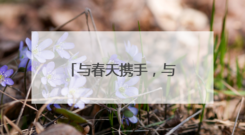 与春天携手，与安全同行 乐山市中区杨湾小学筑牢校园安全防线