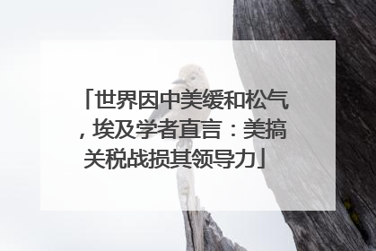 世界因中美缓和松气，埃及学者直言：美搞关税战损其领导力