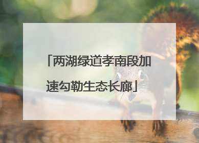 两湖绿道孝南段加速勾勒生态长廊