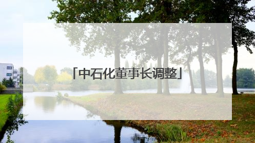 中石化董事长调整