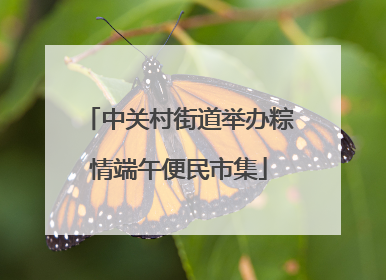 中关村街道举办粽情端午便民市集