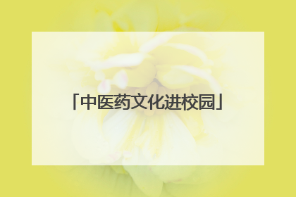 中医药文化进校园