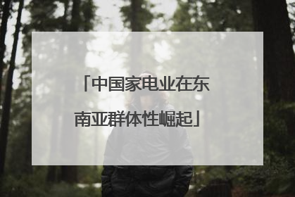中国家电业在东南亚群体性崛起