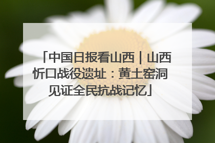 中国日报看山西｜山西忻口战役遗址：黄土窑洞见证全民抗战记忆