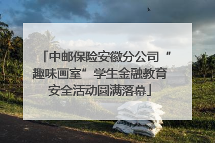 中邮保险安徽分公司“趣味画室”学生金融教育安全活动圆满落幕