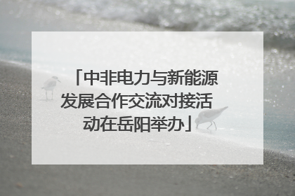 中非电力与新能源发展合作交流对接活动在岳阳举办