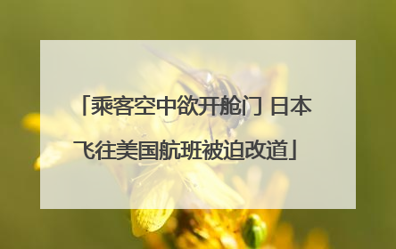 乘客空中欲开舱门 日本飞往美国航班被迫改道