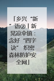 乡兴“新”语②丨新晃凉伞镇：念好“四字诀” 织密森林防护安全网