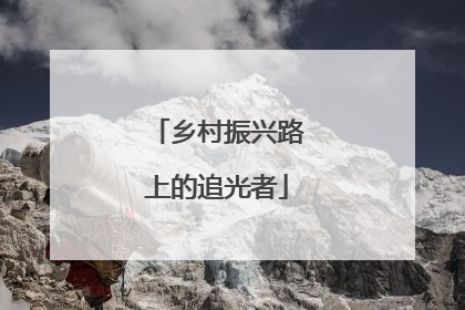 乡村振兴路上的追光者