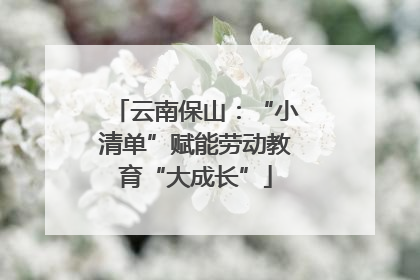 云南保山：“小清单”赋能劳动教育“大成长”