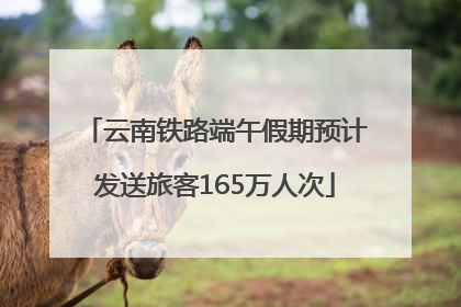 云南铁路端午假期预计发送旅客165万人次