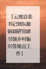 云霄县委书记到东厦镇调研党建引领乡村振兴等重点工作