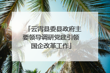 云霄县委县政府主要领导调研党建引领国企改革工作