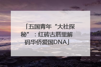 五国青年“大社探秘”：红砖古厝里解码华侨爱国DNA