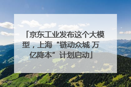 京东工业发布这个大模型，上海“链动众城 万亿降本”计划启动