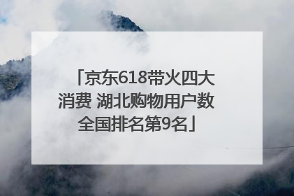 京东618带火四大消费 湖北购物用户数全国排名第9名
