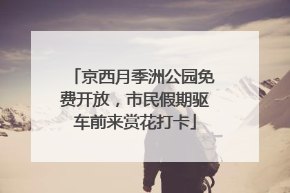 京西月季洲公园免费开放，市民假期驱车前来赏花打卡