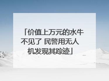 价值上万元的水牛不见了 民警用无人机发现其踪迹