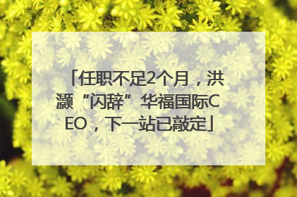 任职不足2个月，洪灏“闪辞”华福国际CEO，下一站已敲定