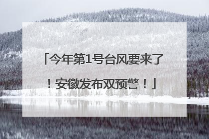 今年第1号台风要来了！安徽发布双预警！