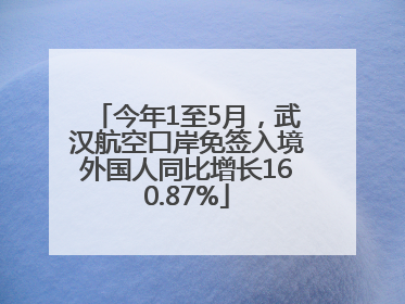 今年1至5月，武汉航空口岸免签入境外国人同比增长160.87%