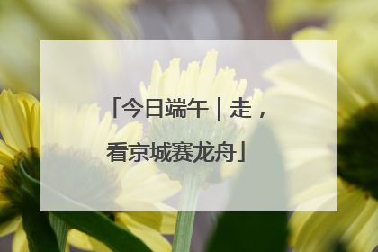 今日端午｜走，看京城赛龙舟