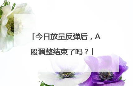 今日放量反弹后，A股调整结束了吗？