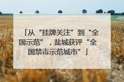 从“挂牌关注”到“全国示范”，盐城获评“全国禁毒示范城市”