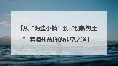 从“海边小镇”到“创新热土” 看温州翁垟的转型之道
