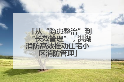 从“隐患整治”到“长效管理”，洪湖消防高效推动住宅小区消防管理