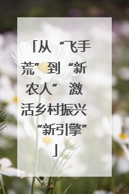 从“飞手荒”到“新农人” 激活乡村振兴“新引擎”